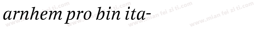 arnhem pro bin ita字体转换